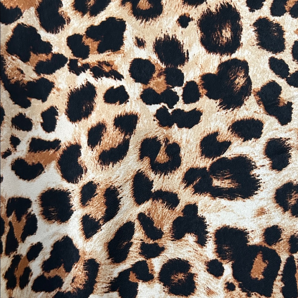Leopard Print Maxi Dress - Picture 2 of 6